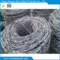 Hot Dipped Galvanized Double Line Barbed Wire